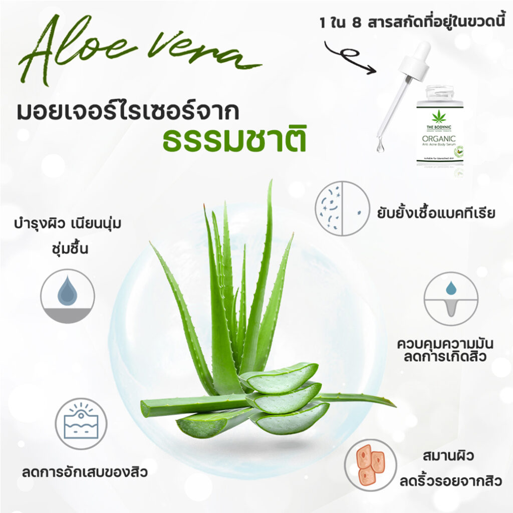 ตัวอย่างแบนเนอร์ สารสกัด